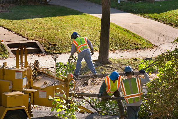 Best Tree Pruning Services  in Fairland, OK